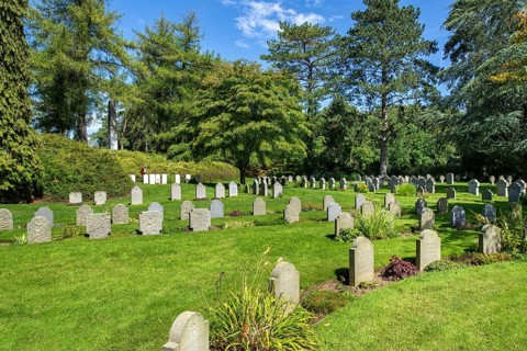 German WW1 graves at the St. Symphorien Military Cemetery