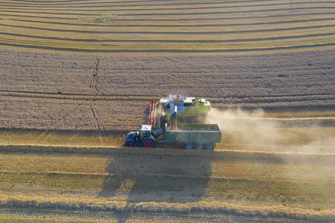 Aerial view over combine harvester and tractor with trailer harvesting oilseed rape