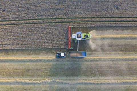 Aerial view over combine harvester and tractor with trailer harvesting oilseed rape