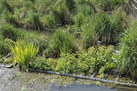 Artificial island in canal for fish to spawn and breeding place for waterfowl