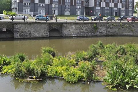 Artificial island in canal for fish to spawn and breeding place for waterfowl