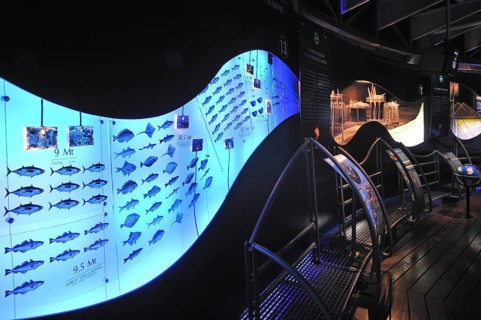 Interior of the The National Sea Centre Nausicaae