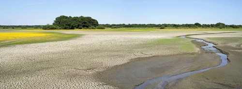Drained lake