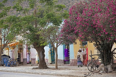 Local black women in shopping street with colourful clothes shops and blooming trees in the town Axum