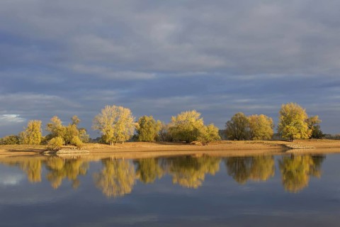 Trees in autumn colours along the river Elbe