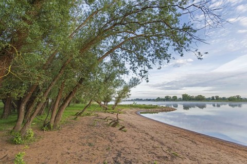 Sunrise at the UNESCO Biosphere Reserve Elbe River Landscape