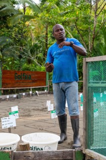 Hatchery for olive ridley sea turtles