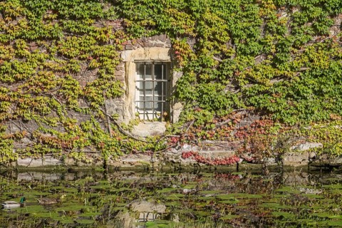 Barred window in brick wall