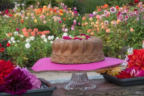 Guglhupf made of concrete as decoration and bowls with dahlia blossoms