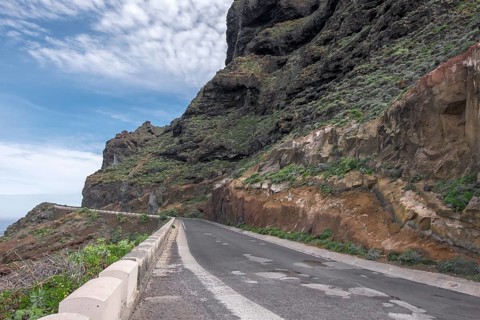 TF-445 from Buenavista del Norte to Punta de Teno