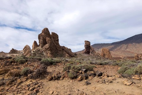 Roque Chinchado rock needle