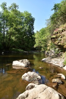 The river Nahe with rocks and vegetation on the Nohener-Nahe-Schleife hiking trail in Naheland