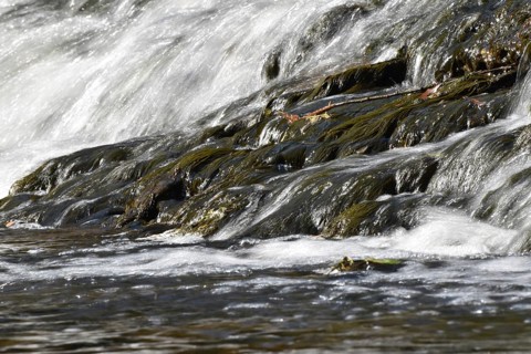 Barrage of the Nahe river on the Nohener-Nahe-Schleife hiking trail in Naheland