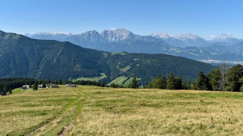 View over the Spielbergalm to the Berchtesgaden Alps with from left Hochkoenig