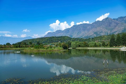 Jawaharlal Nehru Memorial Botanical Gardens in Srinagar