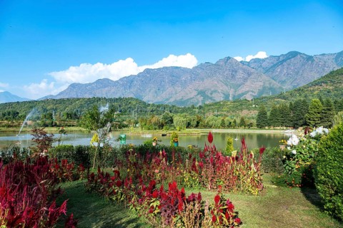 Jawaharlal Nehru Memorial Botanical Gardens in Srinagar