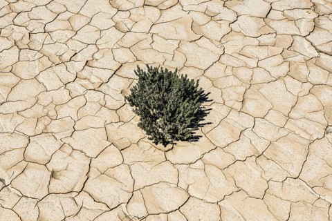 Dried-up lake