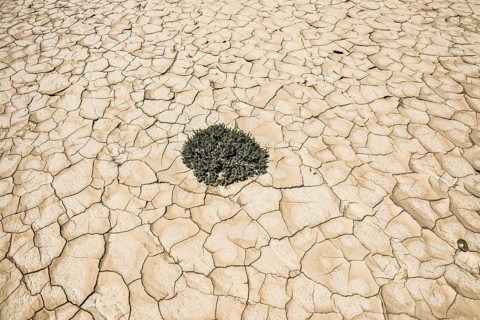 Dried-up lake