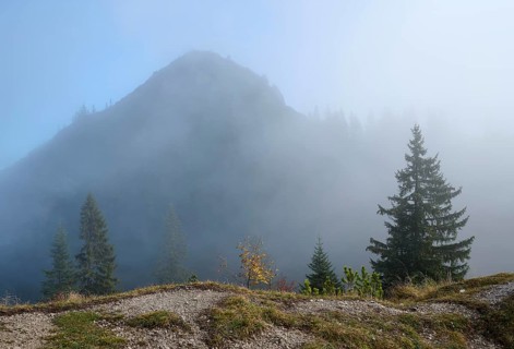 Schildenstein