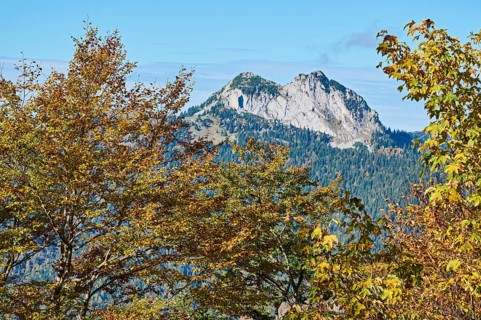 Rossstein and Buchstein