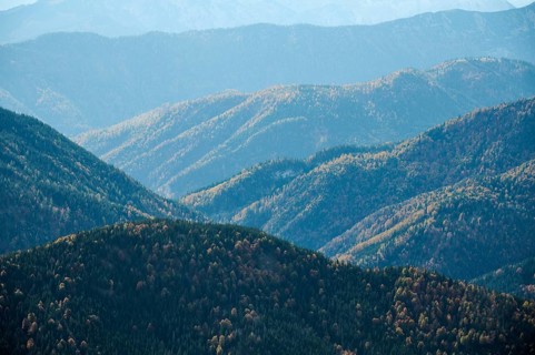 Gentle hills of the Mangfall mountains