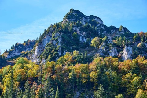 Hochfelln with autumnal coloured mixed mountain forest