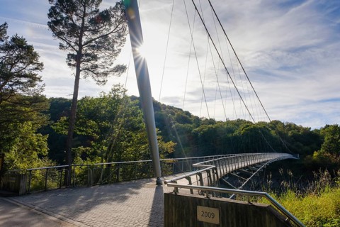 Victor Neels Bridge with Sun Star