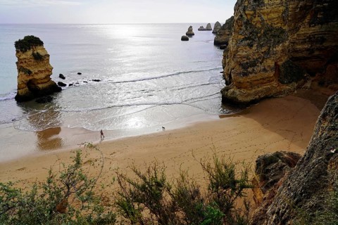 Rocky coast