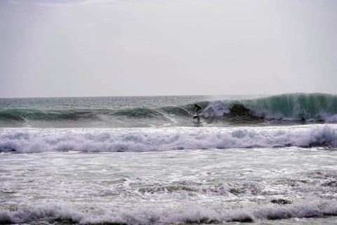Surfers