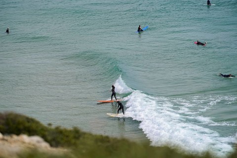 Surfers in the surf at Sagres beach