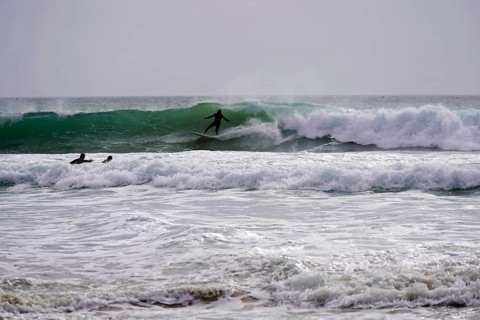 Surfers