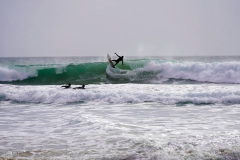 Surfers