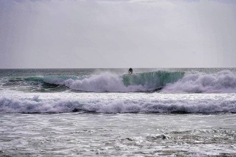 Surfers
