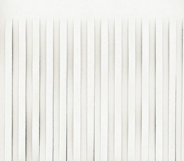 Half shredded blank page with copy space