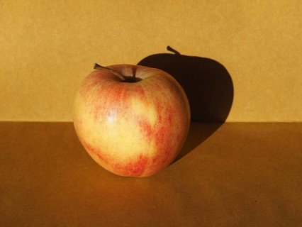 Apple fruit still life