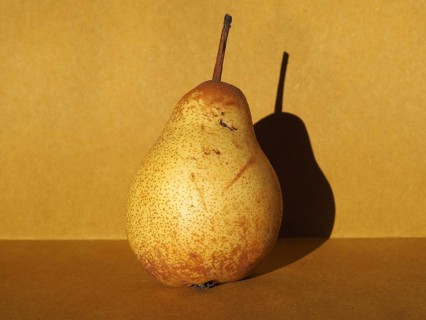 Pear fruit still life