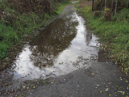 Large river flood