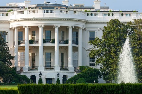 The white house