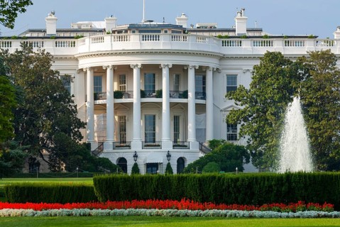 The white house