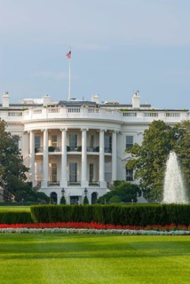 The white house