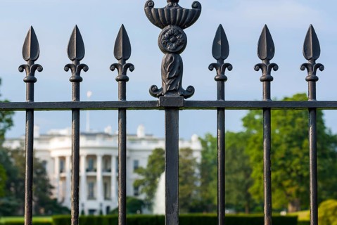 The white house with park