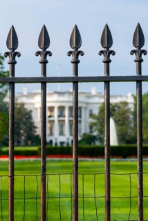 The white house with park