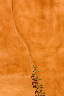 Texture of a clay plaster wall