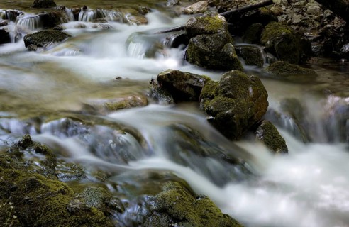 Mountain stream and mossy stones