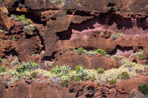 Weathered lava rocks on the cliffs near Paul do Mar