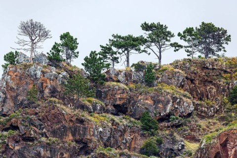 Weathered lava rocks on the cliffs