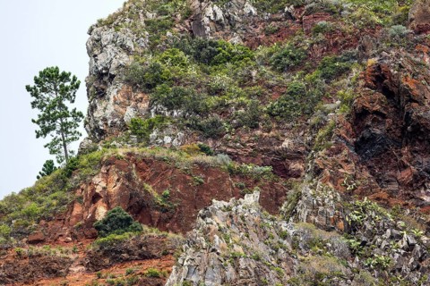 Weathered lava rocks on the cliffs
