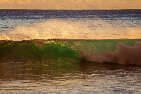Sea