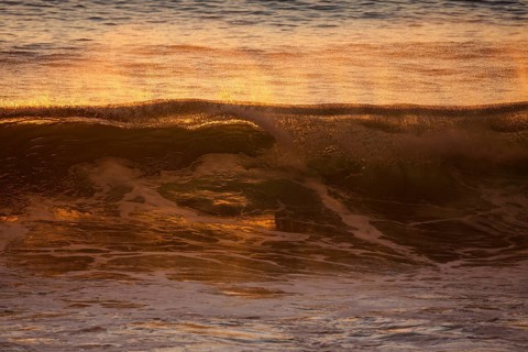 Sea