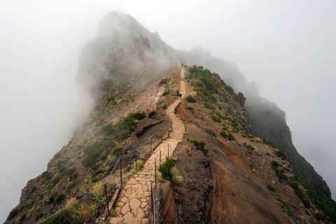 Hikers on the PR1 Vereda do Areeiro hiking trail in the fog